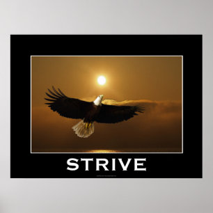 STRIVE ~ Poster Motivationnel de l'aigle à tête vo