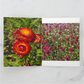 Strobloementuin Kaart (Binnen)