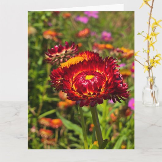 Strobloementuin Kaart (Gele Bloem)