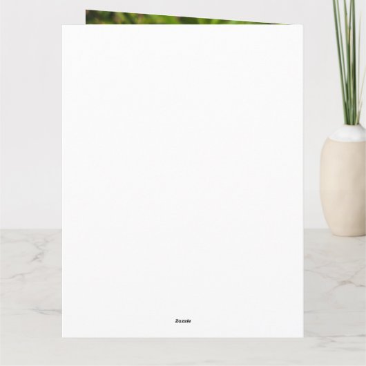 Strobloementuin Kaart (Achterkant)