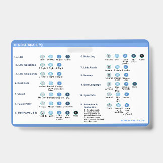 Stroke Scale Badge-begeleider Badge