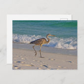 Stroll op de Golfeilanden National Seashore Briefkaart (Voorkant / Achterkant)