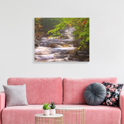 Stromen langs het Appalachian Trail Canvas Afdruk (Insitu (Woonkamer))