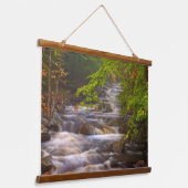 Stromen langs het Appalachian Trail Hangend Wandkleed (Gebogen)
