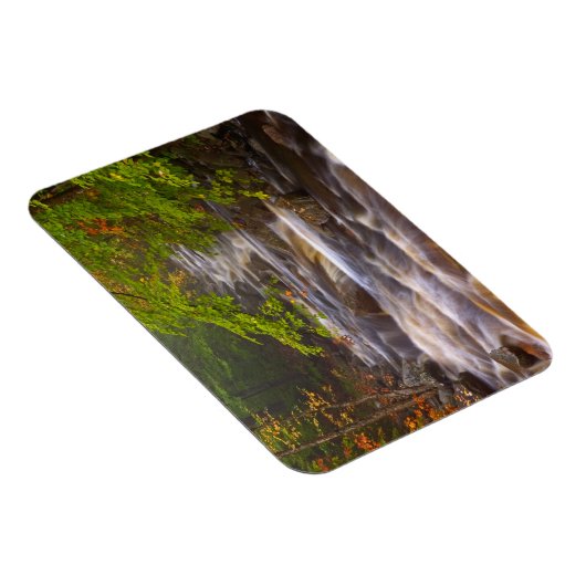 Stromen langs het Appalachian Trail Magneet (Rechterzijde)