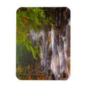 Stromen langs het Appalachian Trail Magneet (Verticaal)