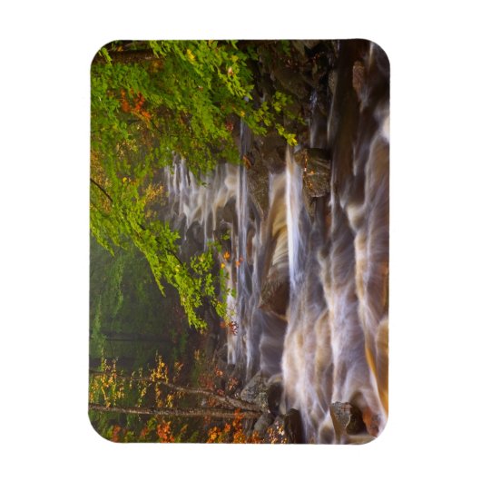 Stromen langs het Appalachian Trail Magneet (Verticaal)