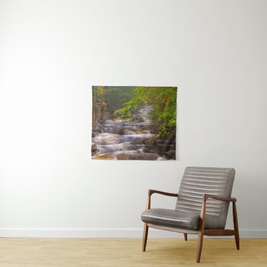 Stromen langs het Appalachian Trail Wandkleed (In Situ (horizontaal))
