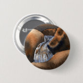 Stromen, rivieren en meren, Button (Voorkant /achterkant)
