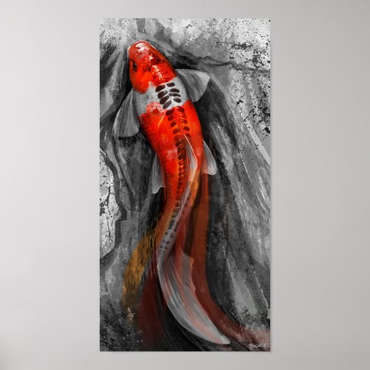 stromende Koi Poster (Voorkant)