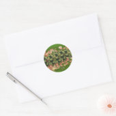 Strooien Shamrocks Stickers (Envelop)