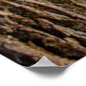 Strooisel op het water van het Poster Haviland Cov (Hoek)