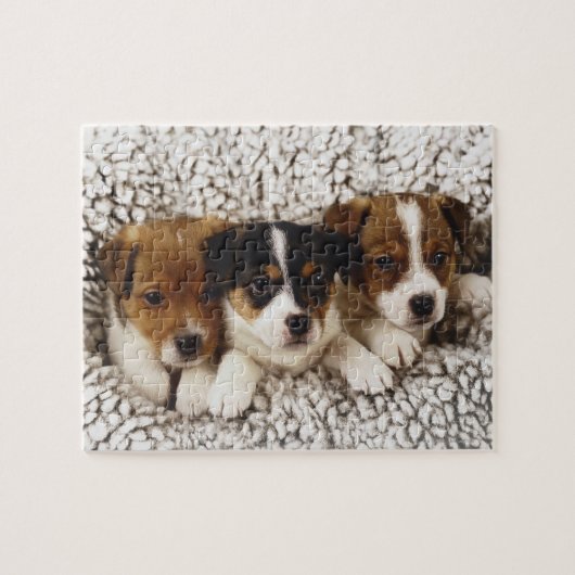 Strooisel van puppies legpuzzel (Horizontaal)