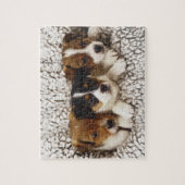Strooisel van puppies legpuzzel (Verticaal)