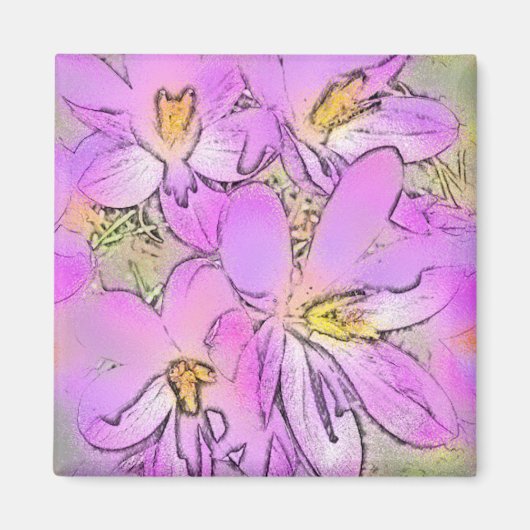 STROOM MAGNEET (Voorkant)