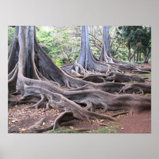 Stroom Poster (Voorkant)