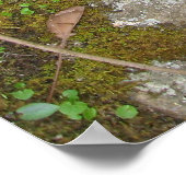 stroom van bewustzijn poster (Hoek)