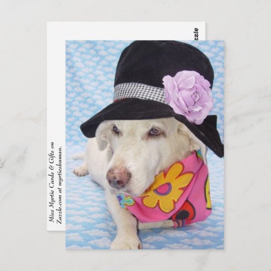 Stroombesparingsmodule Briefkaart (Voorkant / Achterkant)