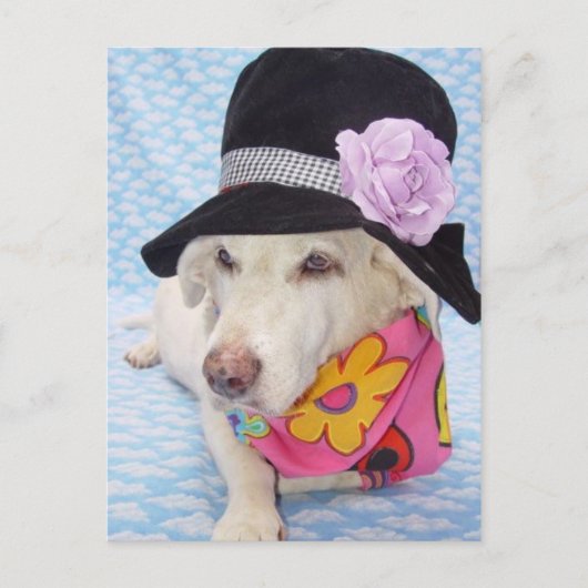 Stroombesparingsmodule Briefkaart (Voorkant)