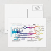 Stroomdiagram van het Amerikaanse strafrechtsystee Briefkaart (Voorkant / Achterkant)