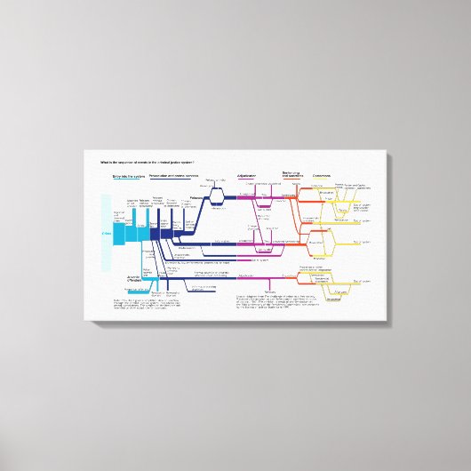 Stroomdiagram van het Amerikaanse strafrechtsystee Canvas Afdruk (Voorkant)