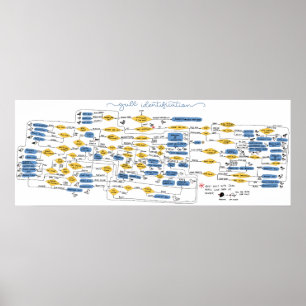 Stroomdiagram voor volledige identificatie poster