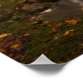 Stroomstromen Appalachian Trail | Vermont Poster (Hoek)