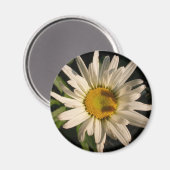 Stroomverbruik Magneet (Voorkant / Achterkant)