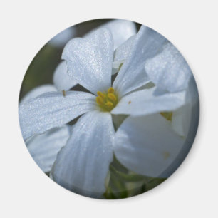 Stroomverbruik Magneet