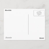 Stroomvis Briefkaart (Achterkant)