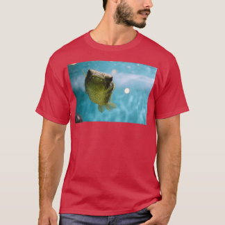 Stroomvis Classic TShirt