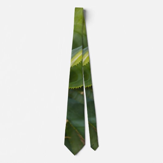 Stropdas Aloe Vera (Voorkant)