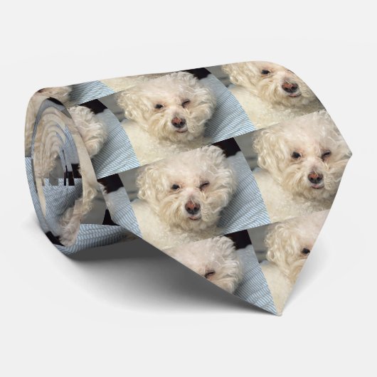 Stropdas Bichon Frise (Opgerold)