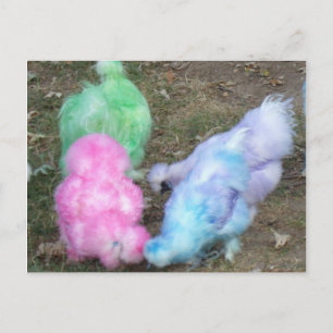 Stropdas geverfde Silkie-kippen in paaspaaskleuren Feestdagenkaart