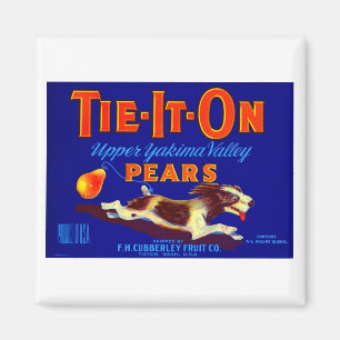 Stropdas-it-on peren magneet