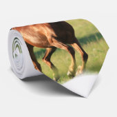 Stropdas kastanjepaarden Galloping (Opgerold)