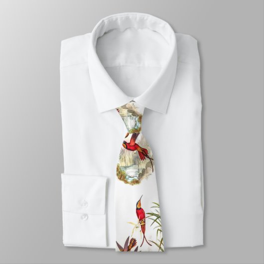 stropdas  kolibrie (Gebonden)