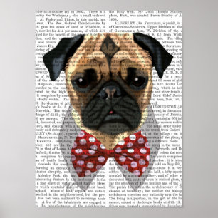 Stropdas met rode en witte pootjes poster