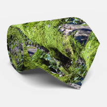 Stropdas / mossy log