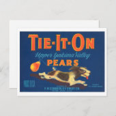 Stropdas op het etiket van peren fruitkratten briefkaart (Voorkant / Achterkant)