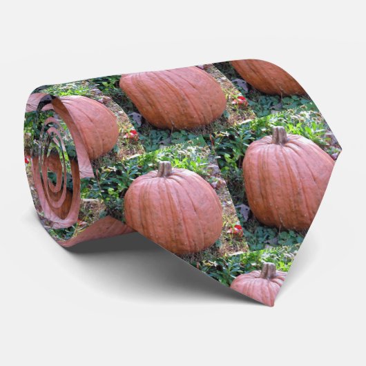 Stropdas Pumpkin Halloween (Opgerold)