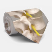 Stropdas ruggengraat (Opgerold)