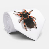 Stropdas Tarantula (Opgerold)