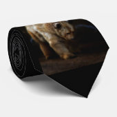 Stropdas van Beary (Opgerold)