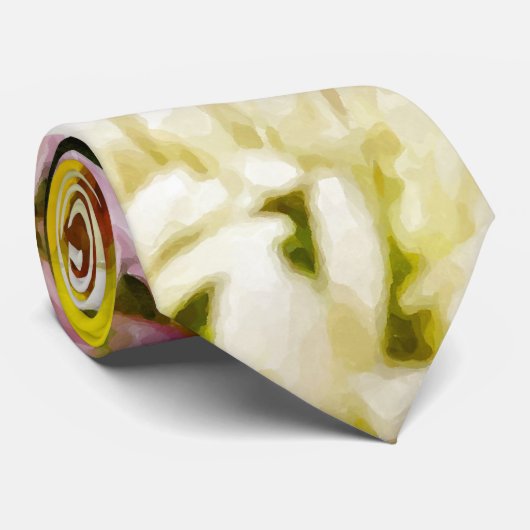 Stropdas van Cheer Painterly (Opgerold)