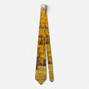 Stropdas van de herfst-gele suikerapel