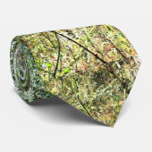 Stropdas van de sequoiaboom (Opgerold)