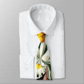 Stropdas van Ernst Haeckel Orchidaceae (Gebonden)