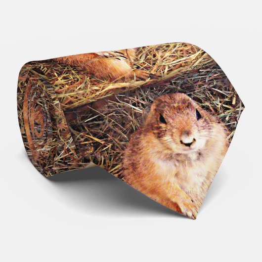 Stropdas van Mannen van Gopher (Opgerold)