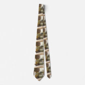 Stropdas van pompoenen (Voorkant)